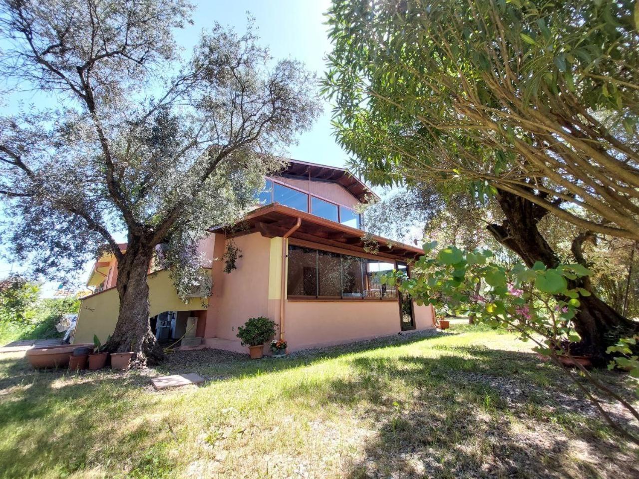 Apartamento Casa L' Antico Ulivo *